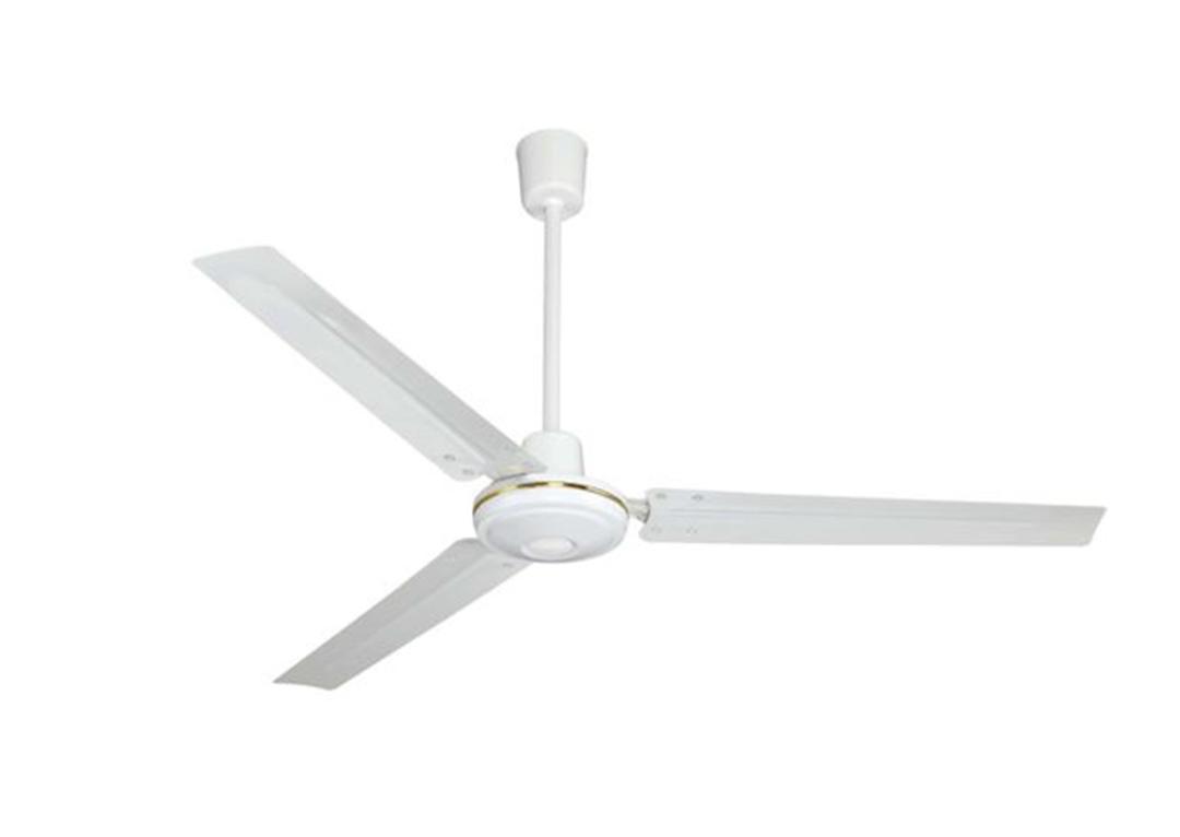 Focus Ceiling Fan